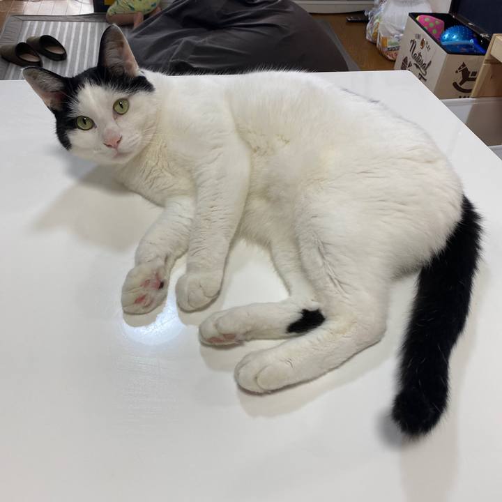 6576584b 6a50 4fab 9fec f79893ce96c6 1658965287642