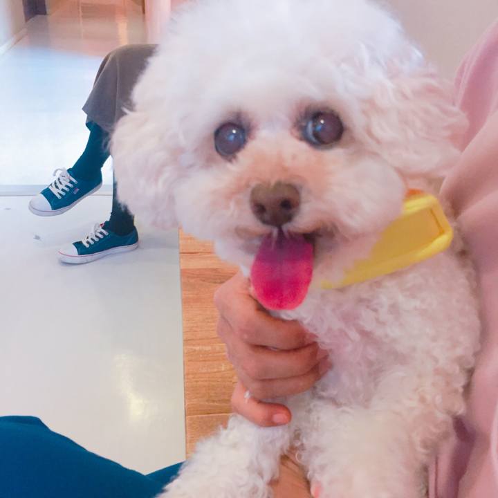 65767adc 8fb8 47e8 8c44 9e3d5d676846 1529130194418