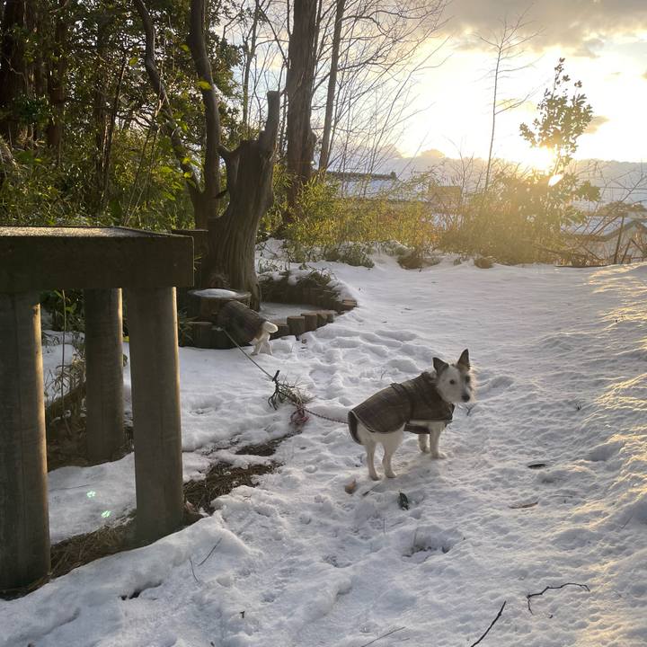 65767ec3 651c 4cb1 b283 fbf7e95d2cff 1769728781291