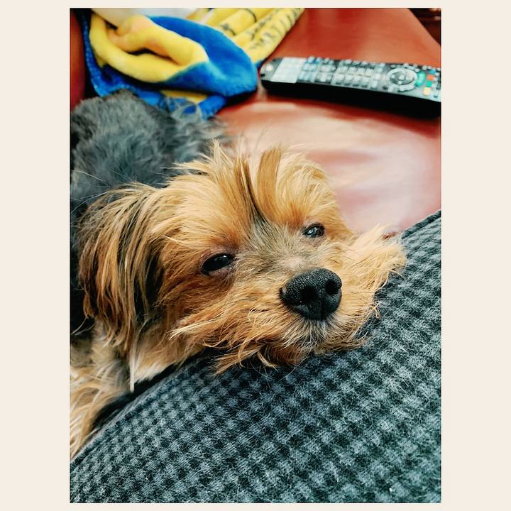 65768867 33b8 4bfd 94d7 e16eea086217 1552120373545