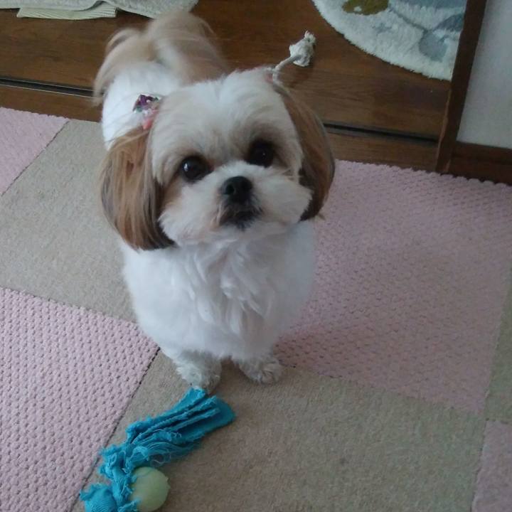 6576b799 7e6c 4caa a03c 87def415d246 1519525804928