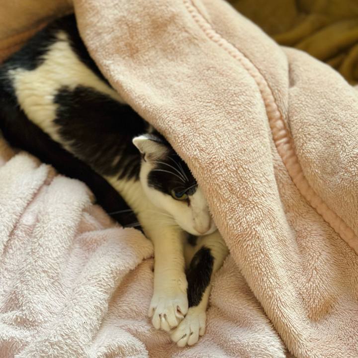 65770bb8 b534 4f18 b78e 8ef65411da20 1668909101145