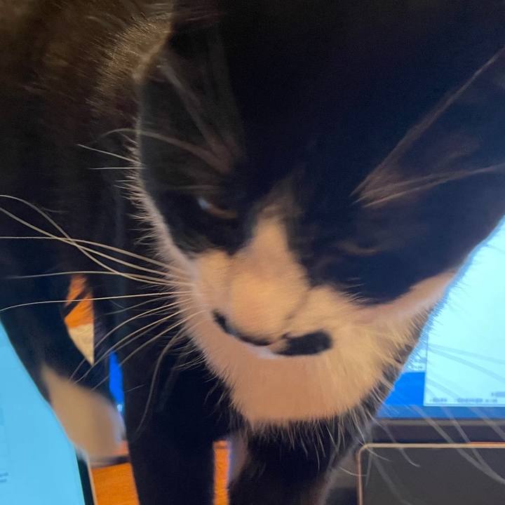 65775359 dd7f 4b84 a711 05838b846949 1654088519211