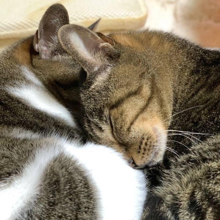 6577a910 9a7c 4b1a bd2a 6fc04bf68fd2 1572655882801