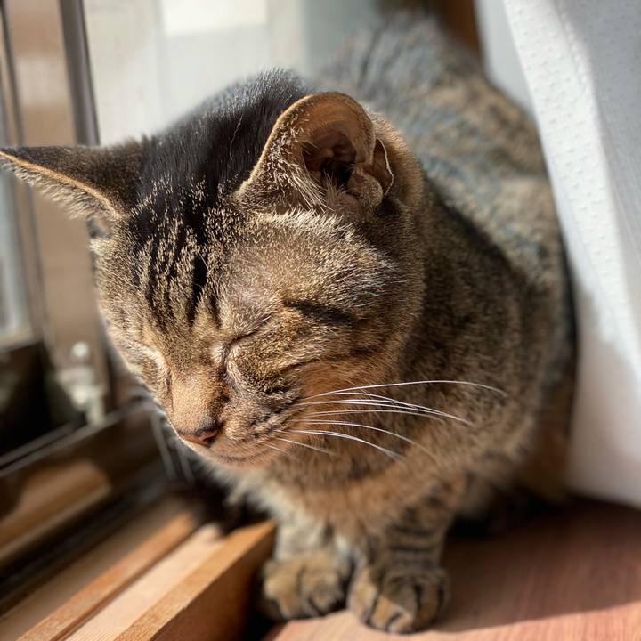 65782666 35a3 4e5e bd24 7fd1a854fb62 1619746359899