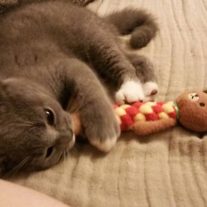 65782ed5 d1d8 4200 8336 03a8eda6eb61 1532011073829