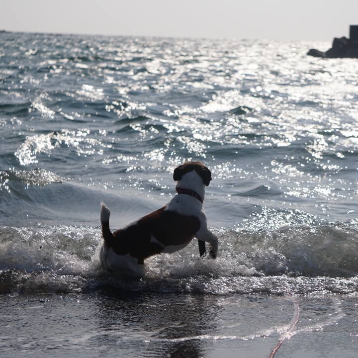 6578522a 0e6f 4fa0 9c97 913b34c5d112 1522190257578