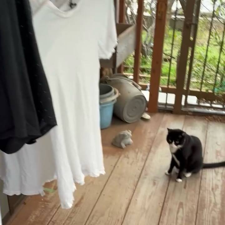 65787587 7865 45c8 af21 dcfa62e6d1fc 1773888561294