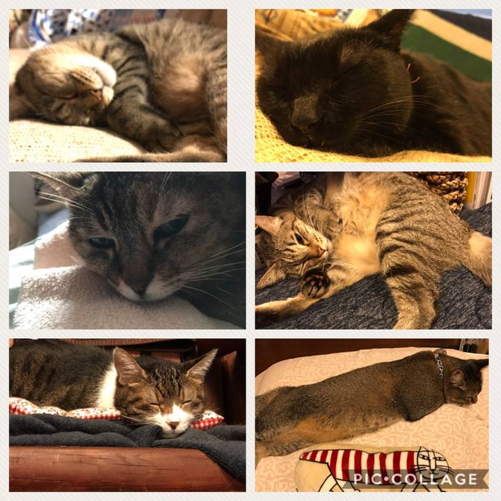 65787fa5 32ee 484a 93b4 54c19da39fd2 1538966760822