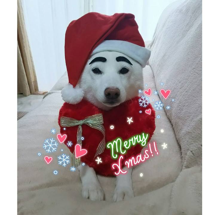 6578bac1 a9d3 4f71 b1ad 0cffbbc65867 1608785284552