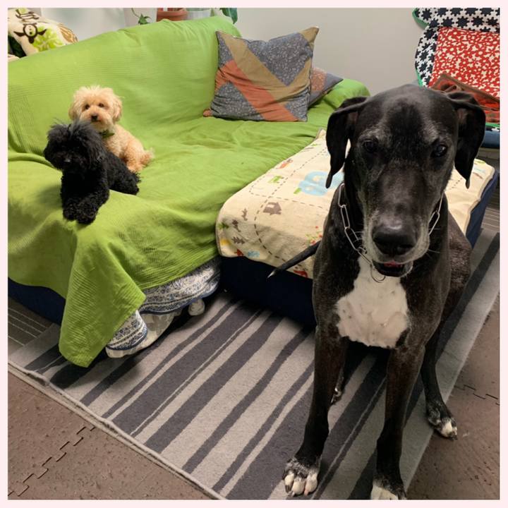 6578bdd0 021d 493c abfe 8bfeffaa36f8 1559687232951