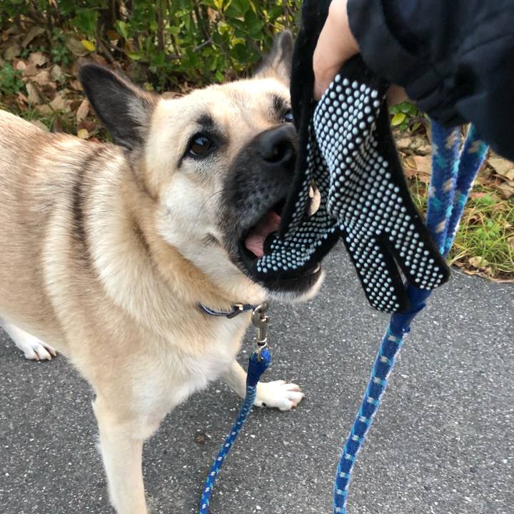 6578be2c 62bb 417d b893 049d3205e088 1543583431705