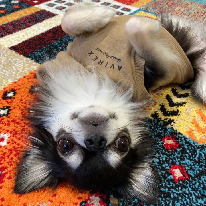 6578cfed e41a 4254 99f5 a3f621ae708c 1702795237871