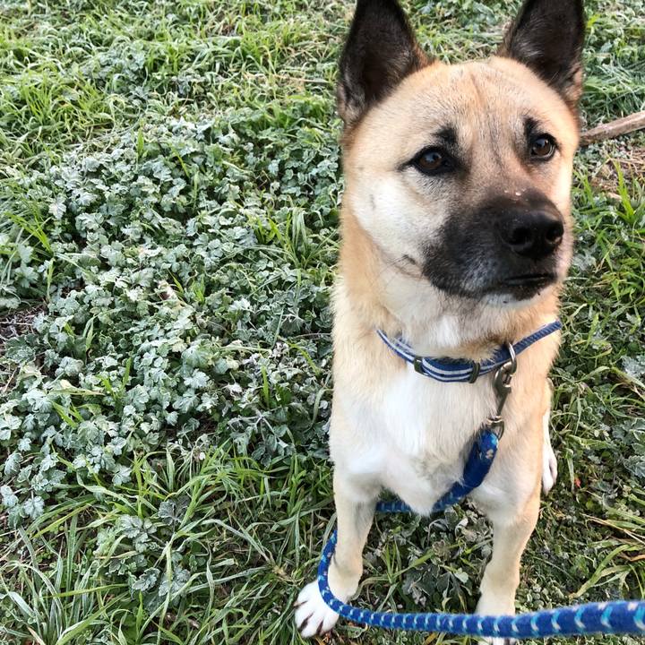 6578effa ae0d 4ec8 b9cd 76d89d80396b 1545220150079