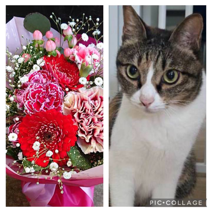 6578f216 81a8 414d af36 35f7693f7750 1769496055253