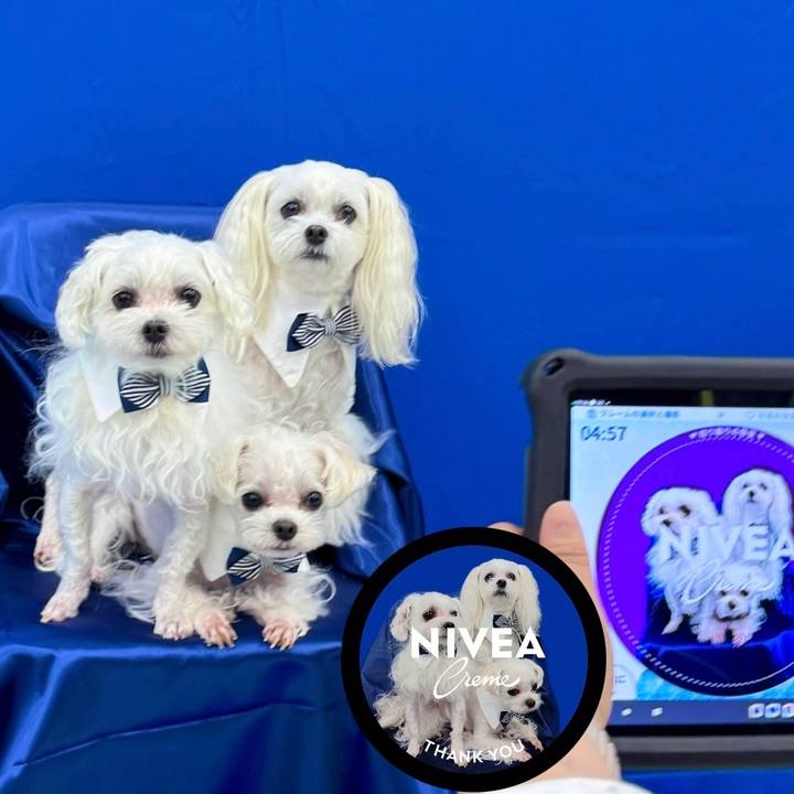 65790bb7 b97e 42a7 aa2d f52536f9cbc0 1729432156851