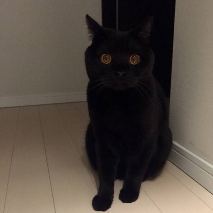 657929b3 57e1 4e7e 9326 f6763e3d2fa6 1550835624287