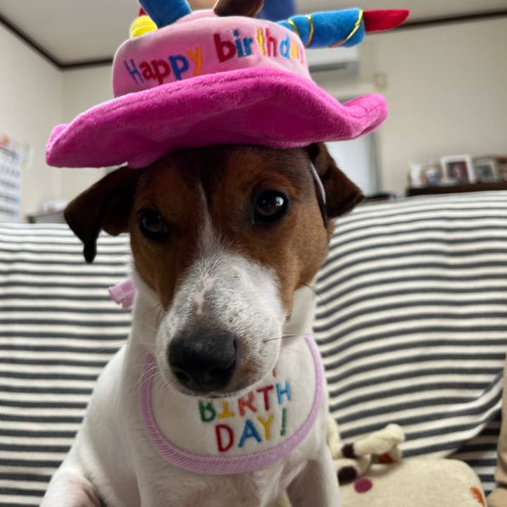 657937d7 f2a7 4d3d 89f5 a1fc83ce1116 1722904669366