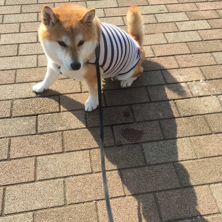 657951db 2e55 4e5b a38f efeeb8aaa6d5 1543896514934