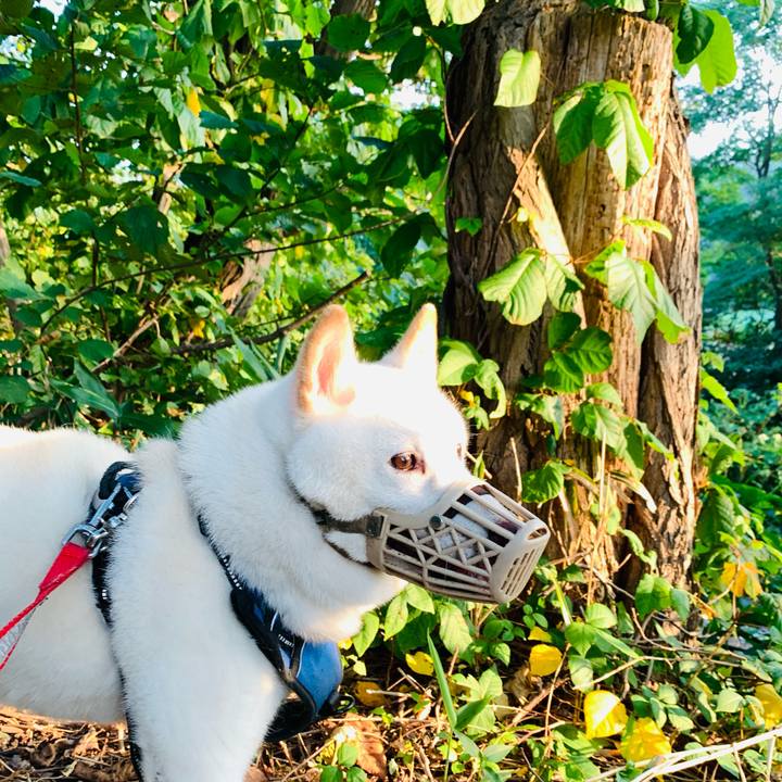 657980c5 e393 4a7c 9663 30ad7aa557bc 1630791894437