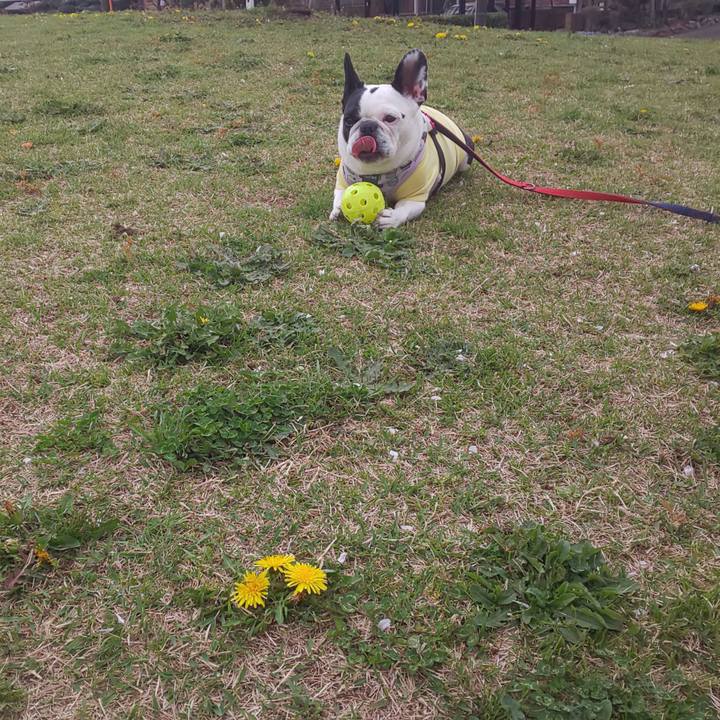 6579883a 95fa 40fc 9b1e 294d4889dffd 1617545997473