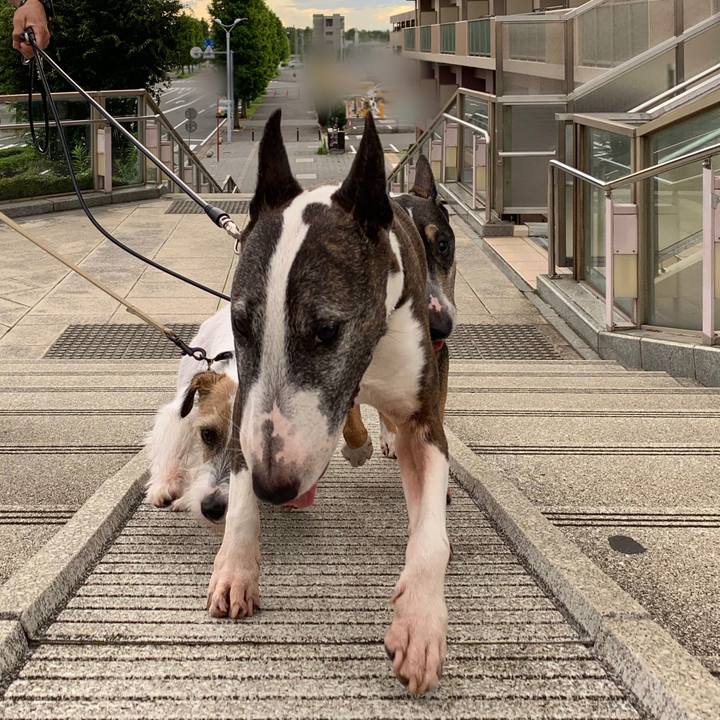 6579d544 4b05 44ab b485 566c53a88b76 1593861323442