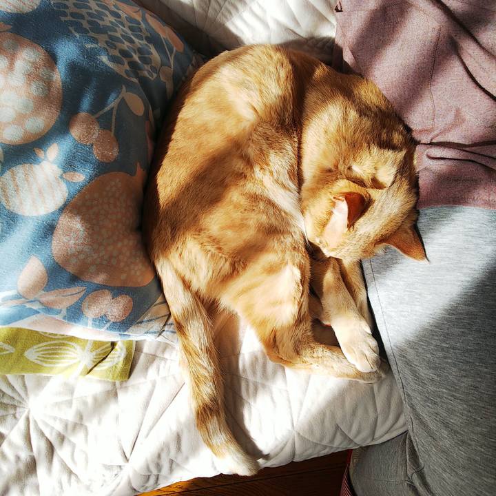 657a0d19 07e2 41c4 861a 3e2bea8fe56a 1644464381265