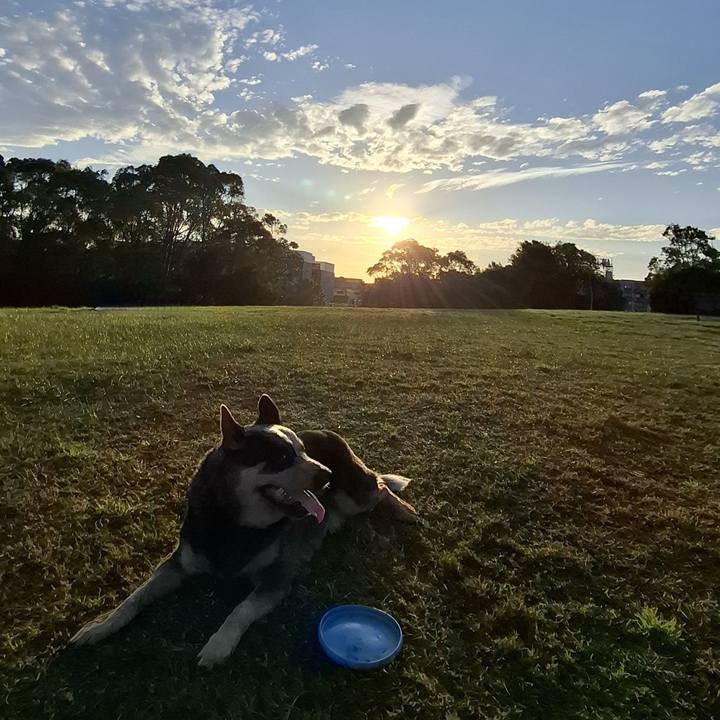 657a2cd3 011b 4c54 9a1b 2a00eae4d64b 1757672720413