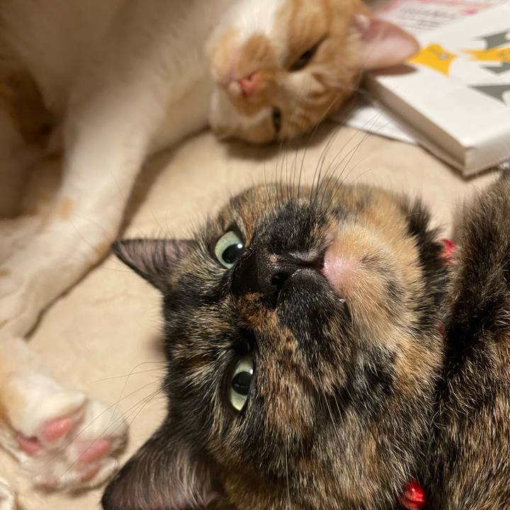 657a45ac 7eff 42f1 aefc 314c27aa3247 1642938207497