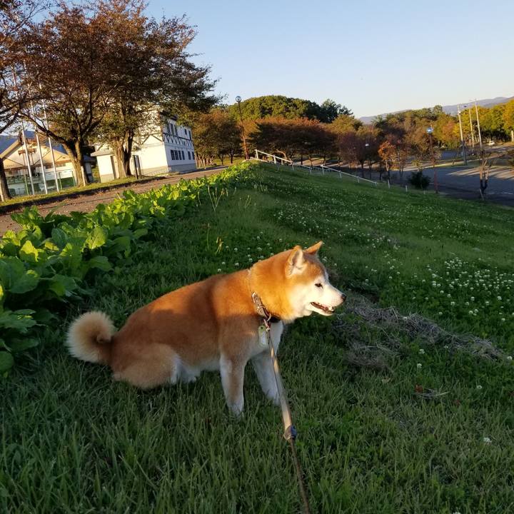 657a47a9 2b7d 4d6b 9fe8 37c6a46b627c 1666250040295