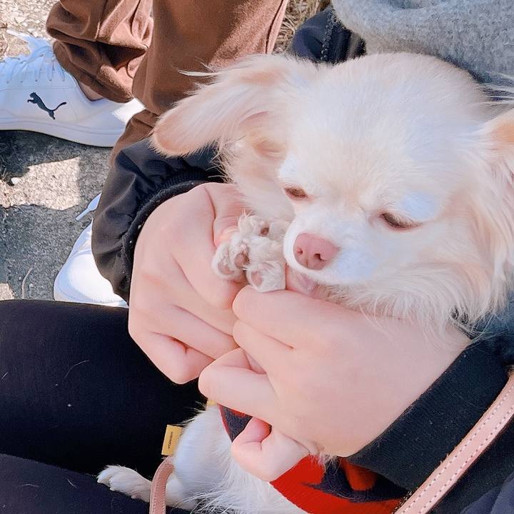 657a5562 7dc7 479b 9c02 adebc8b56e06 1673008892320