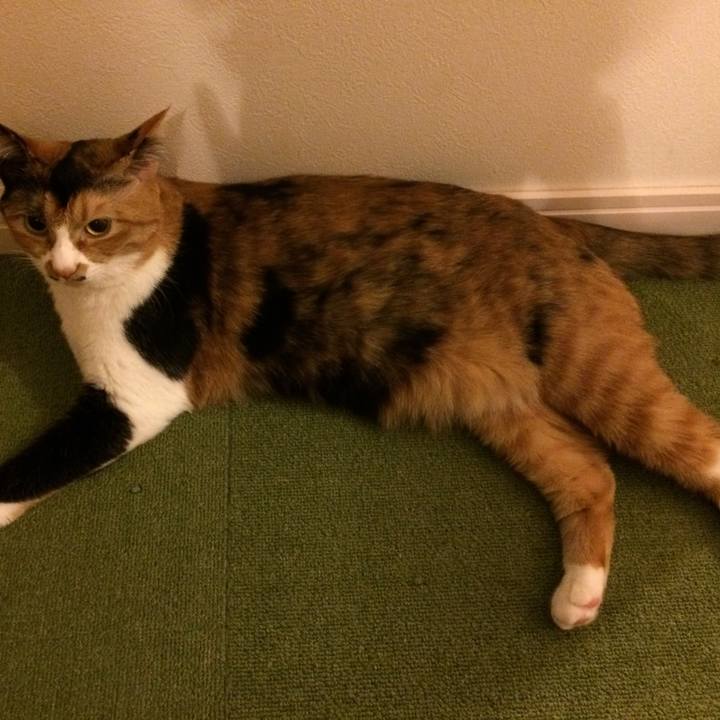 657a7ae7 d595 46d8 b005 b7255853c5e1 1507807051051