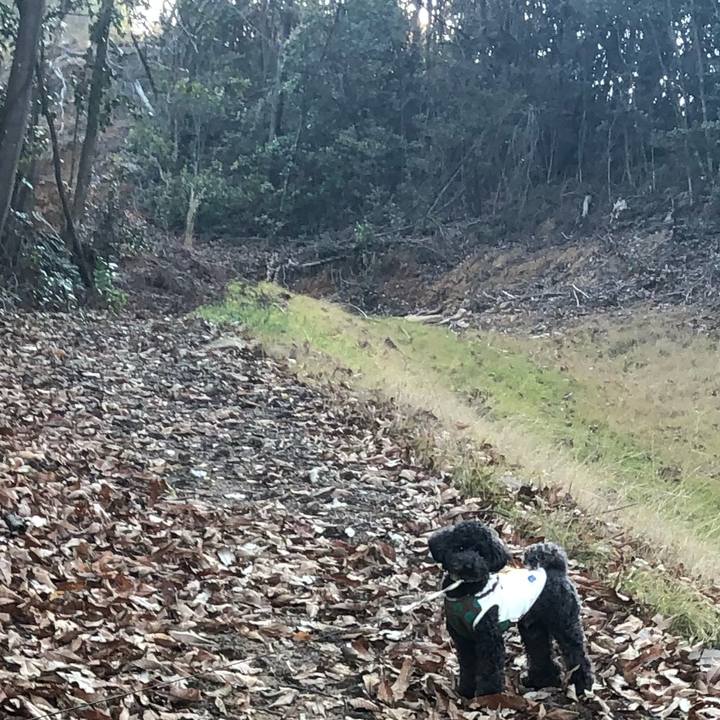 657a93e5 2b1a 4411 9c50 8b42ab30cafa 1611318327187