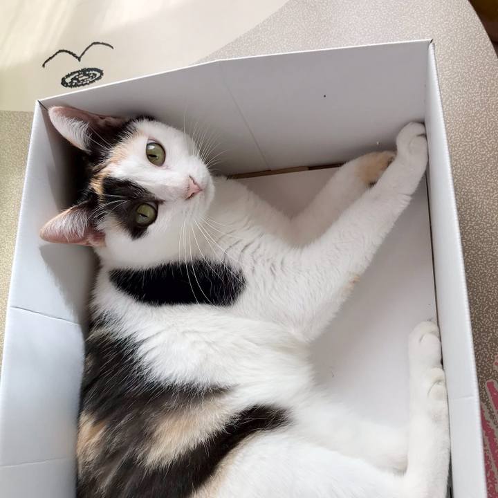 657ad7b3 a48c 4bbe 9a67 9b05d3360aa3 1536245569274