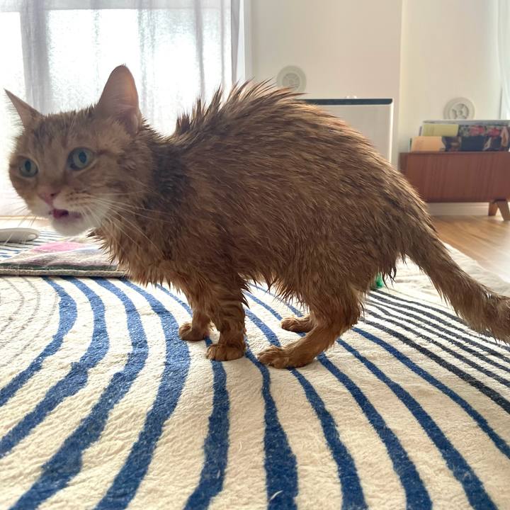 657ae142 470f 4ea7 8910 5572df60d614 1763463101961