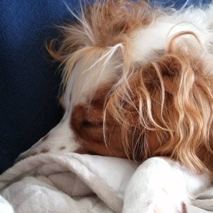 657b157f a040 41d1 8374 e37ebd1bc9b2 1568420800294