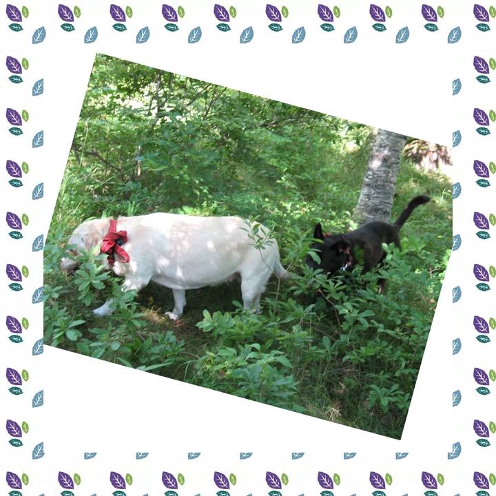 657b1fc3 3384 4389 a844 f4f4bde21471 1536918951953