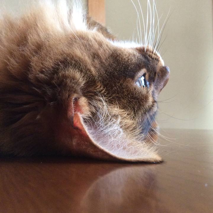 657b20d9 8d68 490b 9b52 a5c302aa12b5 1624336596641