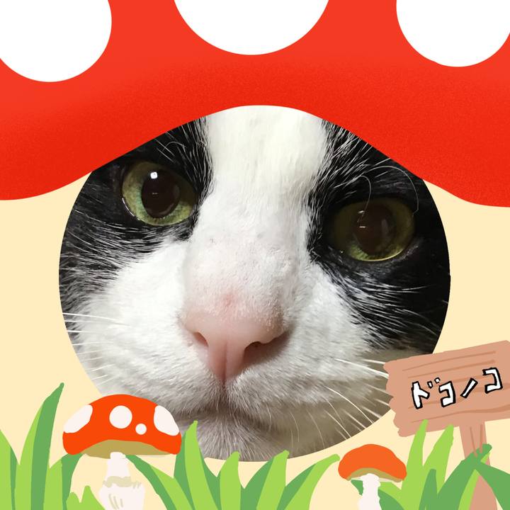 657b31a0 3477 4ecc 86e0 52688c9ff1a7 1729250477670