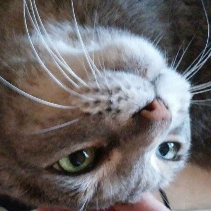 657b3371 cd2e 4355 831c 3481f818ab1e 1564182422518