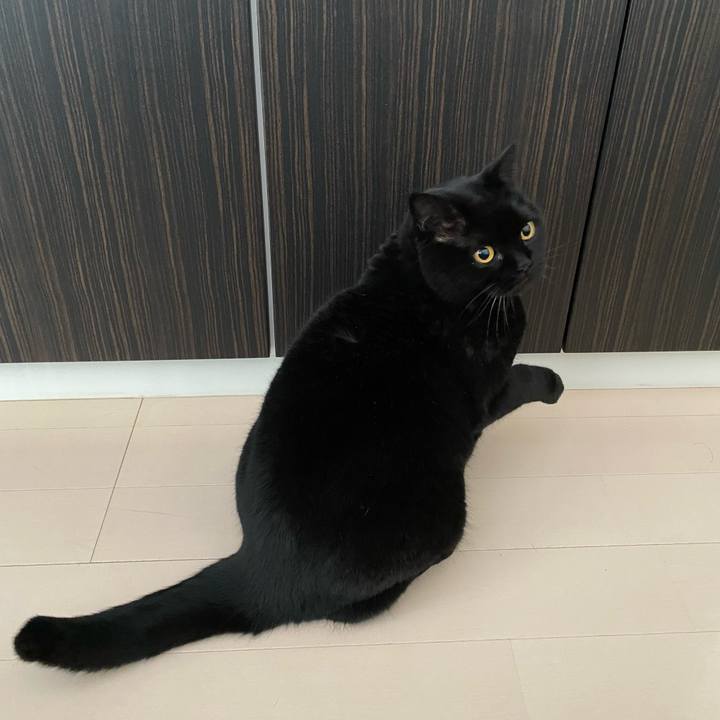 657b8986 5f1a 4f9a a041 cf0a754ccb1a 1768176926672