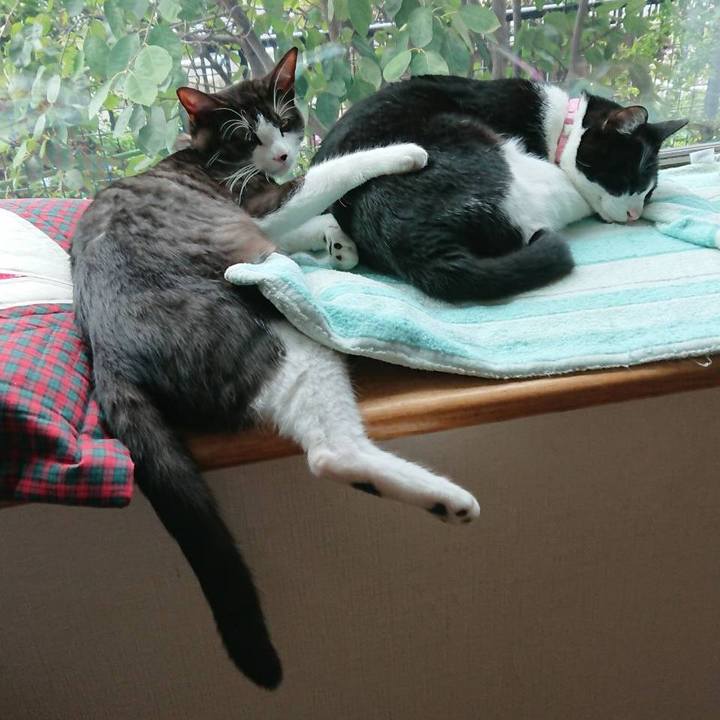 657bcb9c 2186 41e9 8927 f69994c365cd 1600432507178