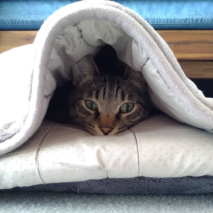 657bfb6d 84be 4be7 ae3a 4c27c9ec7f61 1667013460975