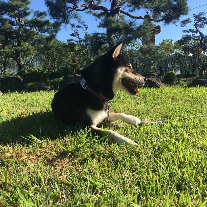 657c3807 65cf 4e08 b0d6 14eb49d575ac 1567944496370