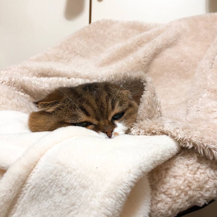 657c56ce a7f1 4548 939f 48167cf1ffdb 1545754308363