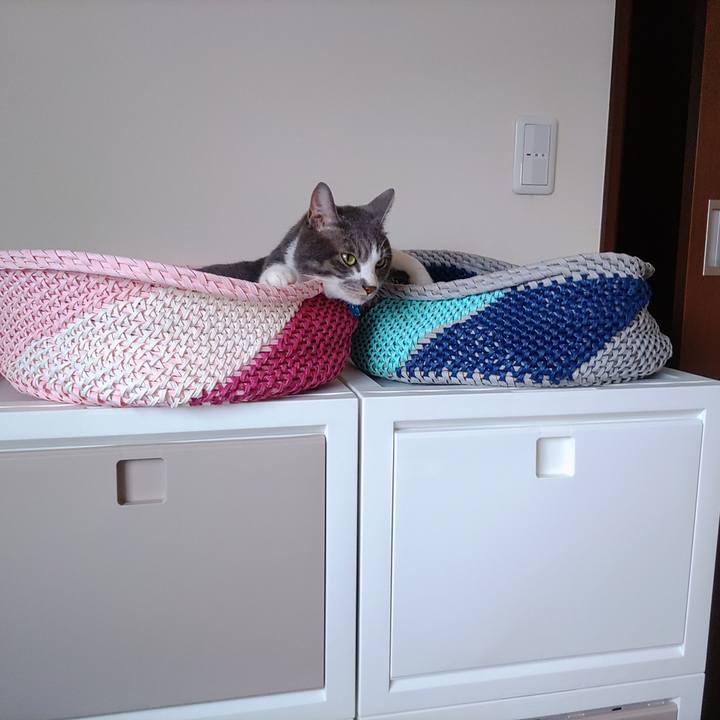 657c7e0b 4e53 4d8c a76d e87ddda2395b 1655677805656