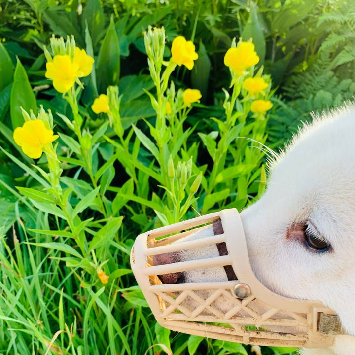 657c9414 c080 4a88 9003 3a135e85a008 1626383584587