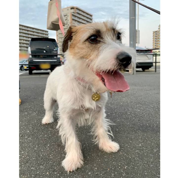 657ca90b fab2 43c6 b318 657e30d29528 1601205668665