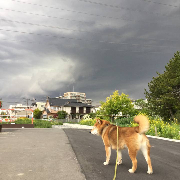 657cd02d 07d8 41bb a4e0 fc6327e7ffff 1587719250914