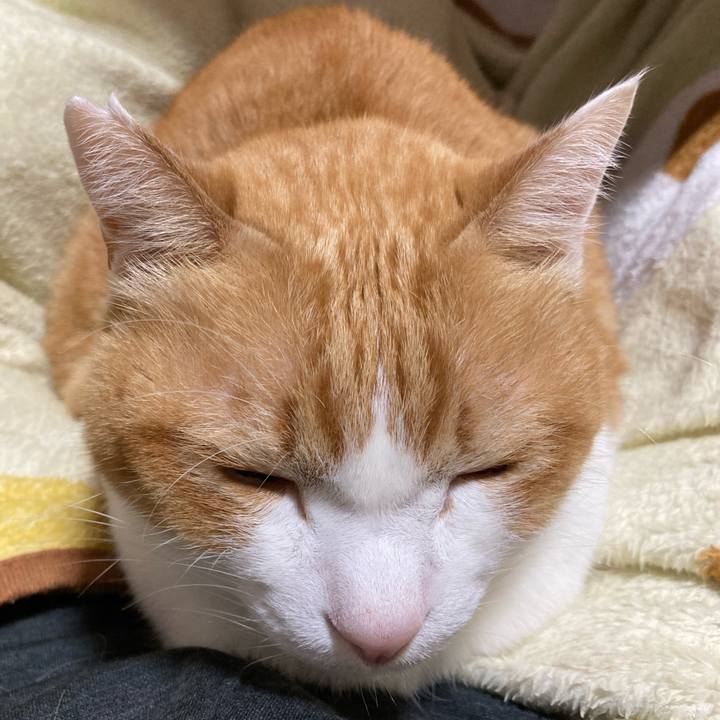 657d52f5 c104 435e a914 53e6050cc5f0 1768749717116